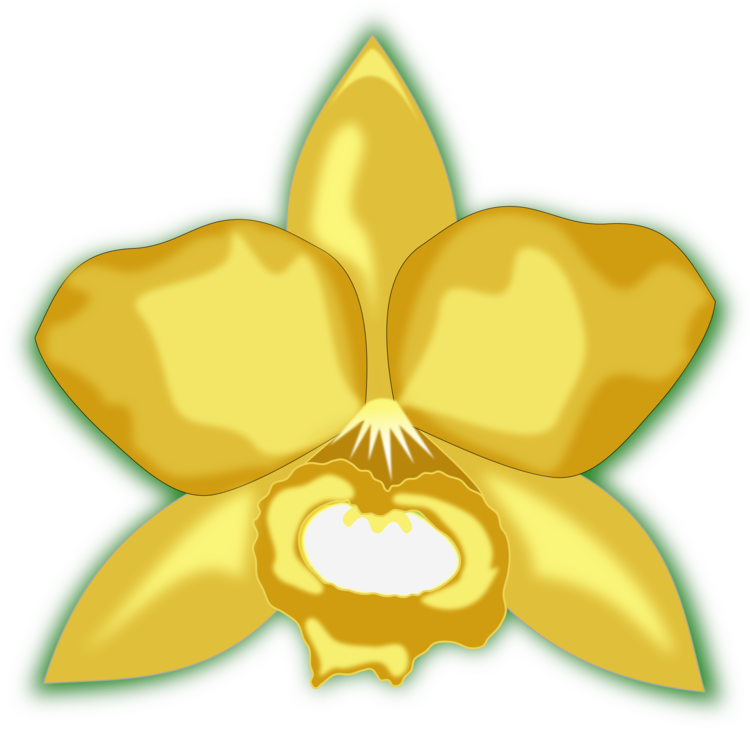 Plant,Flora,Symmetry