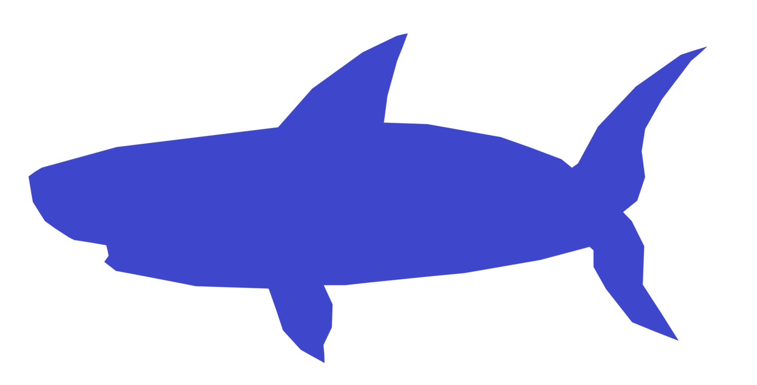 Cobalt Blue,Shark,Marine Biology