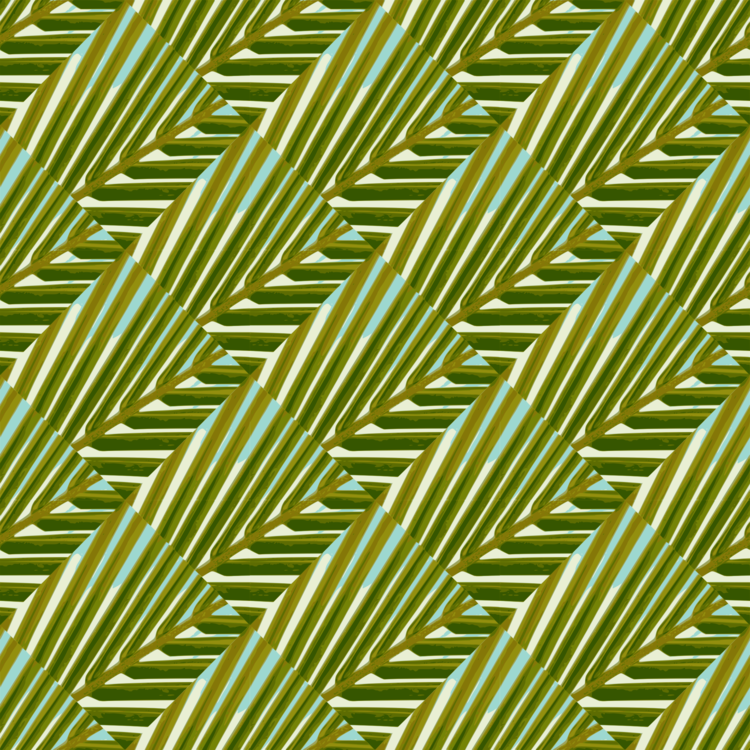 Grass Family,Leaf,Symmetry