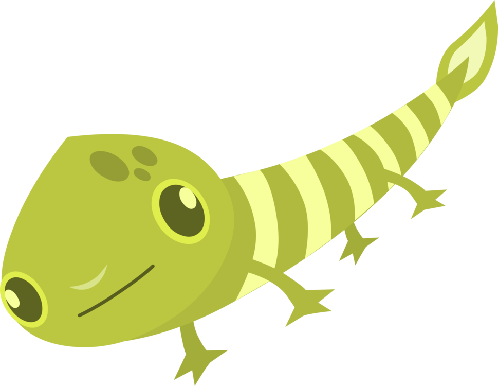 Reptile,Gecko,Vertebrate