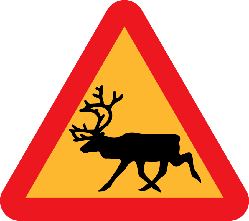 Antler,Area,Deer