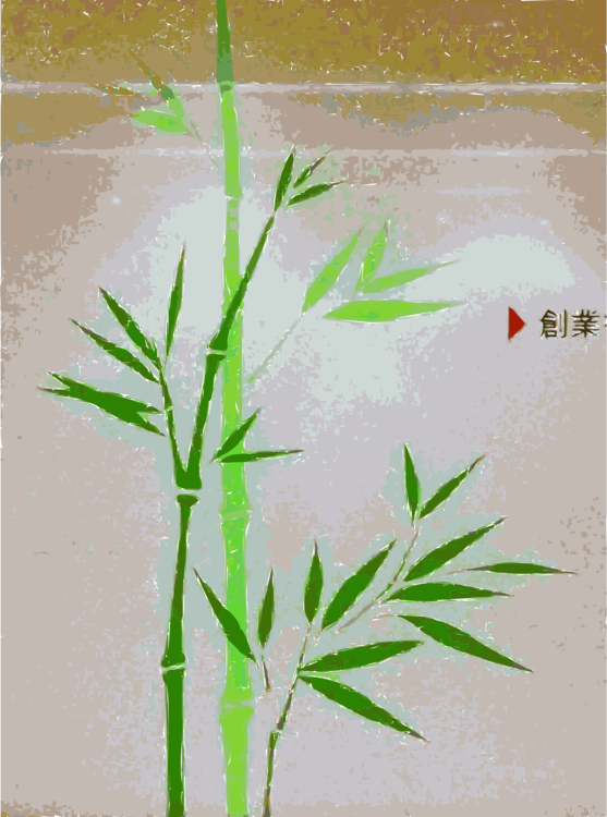 Plant,Leaf,Grass Family