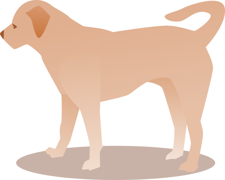 Companion Dog,Tail,Carnivoran