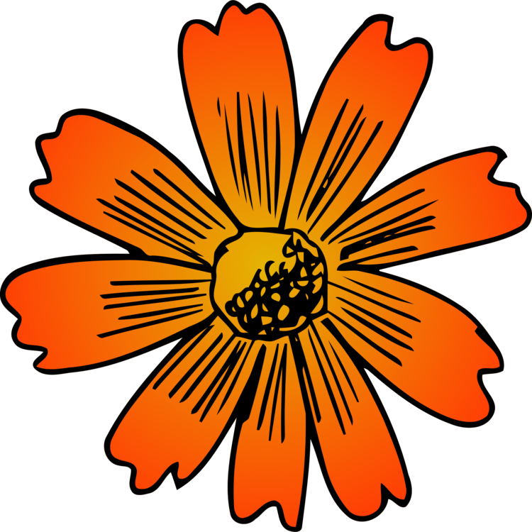 Plant,Flora,Sunflower