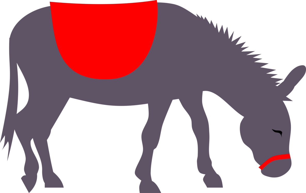 Donkey,Pony,Livestock
