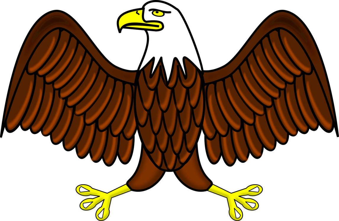 Eagle,Wildlife,Bald Eagle