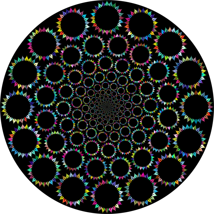 Circle,Organism,Symmetry