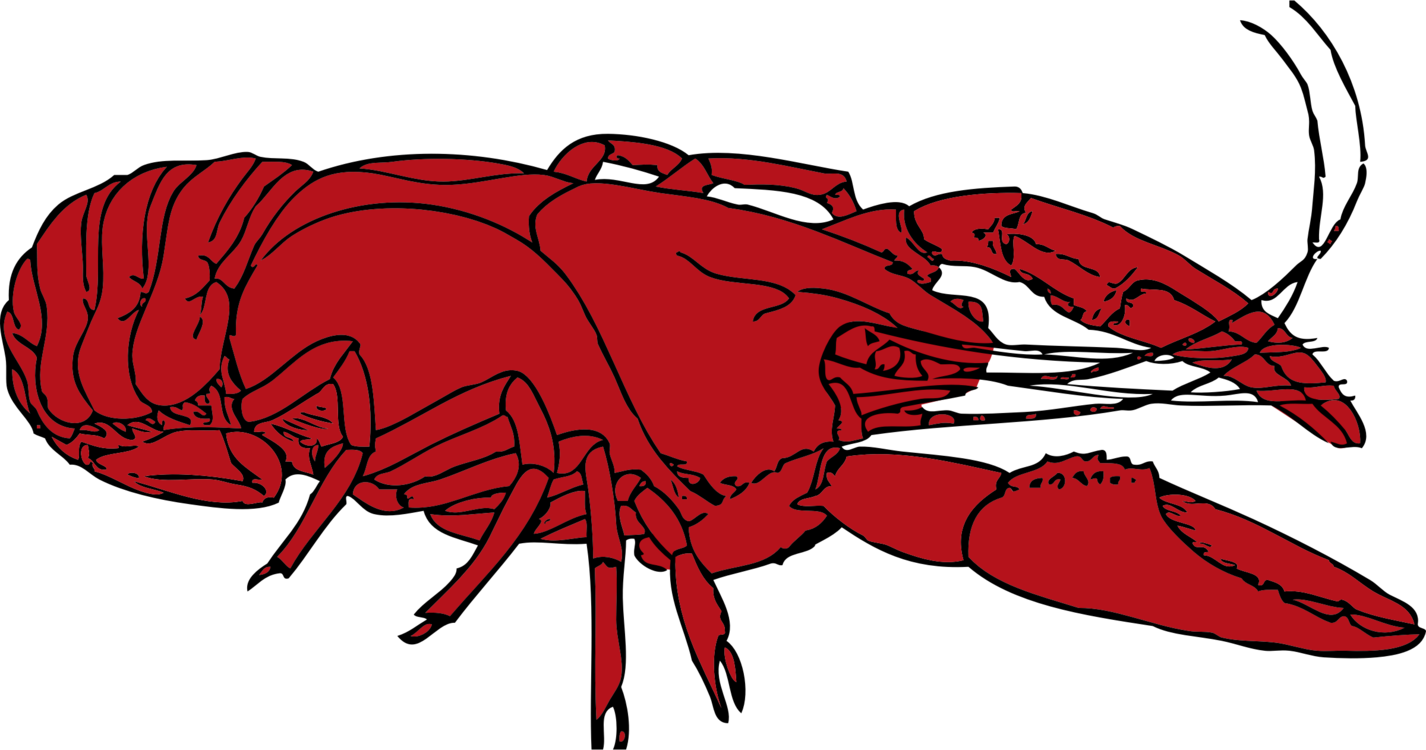 clip art lobster