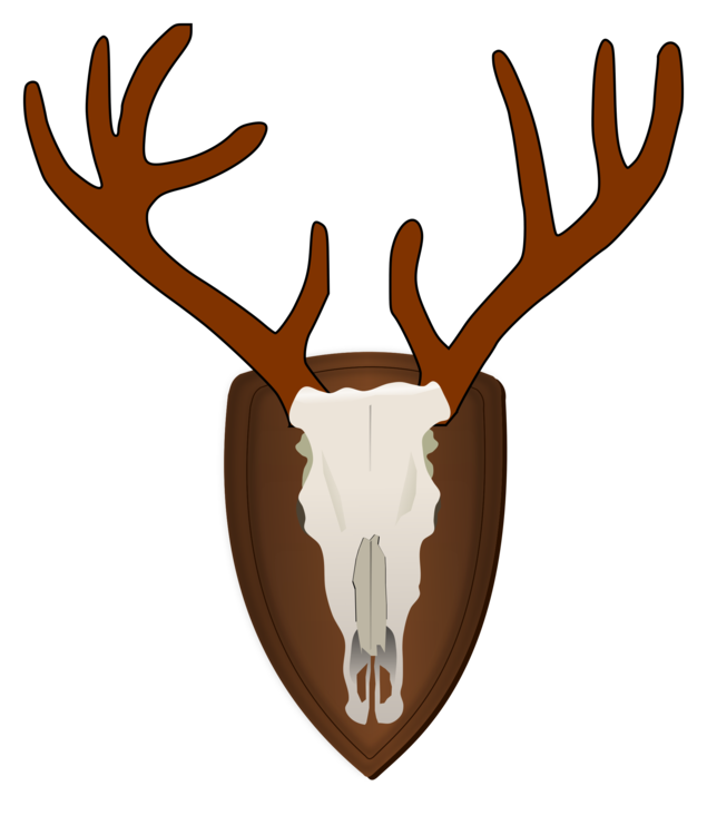 Elk,Head,Deer