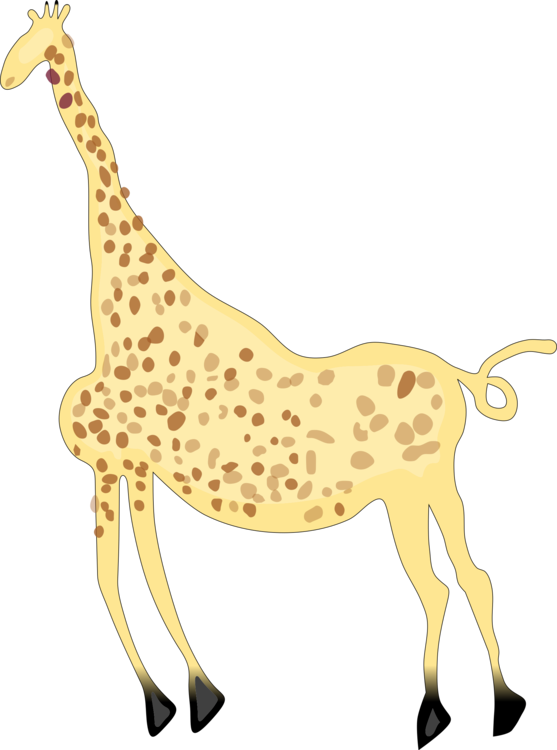 Giraffidae,Wildlife,Neck