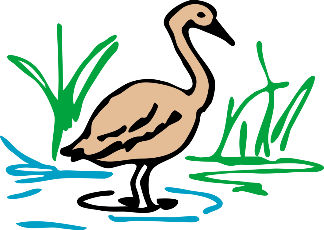 Line Art,Wildlife,Water Bird