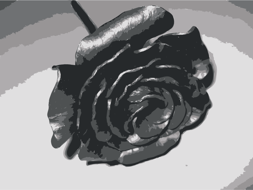 Plant,Flower,Rose Order
