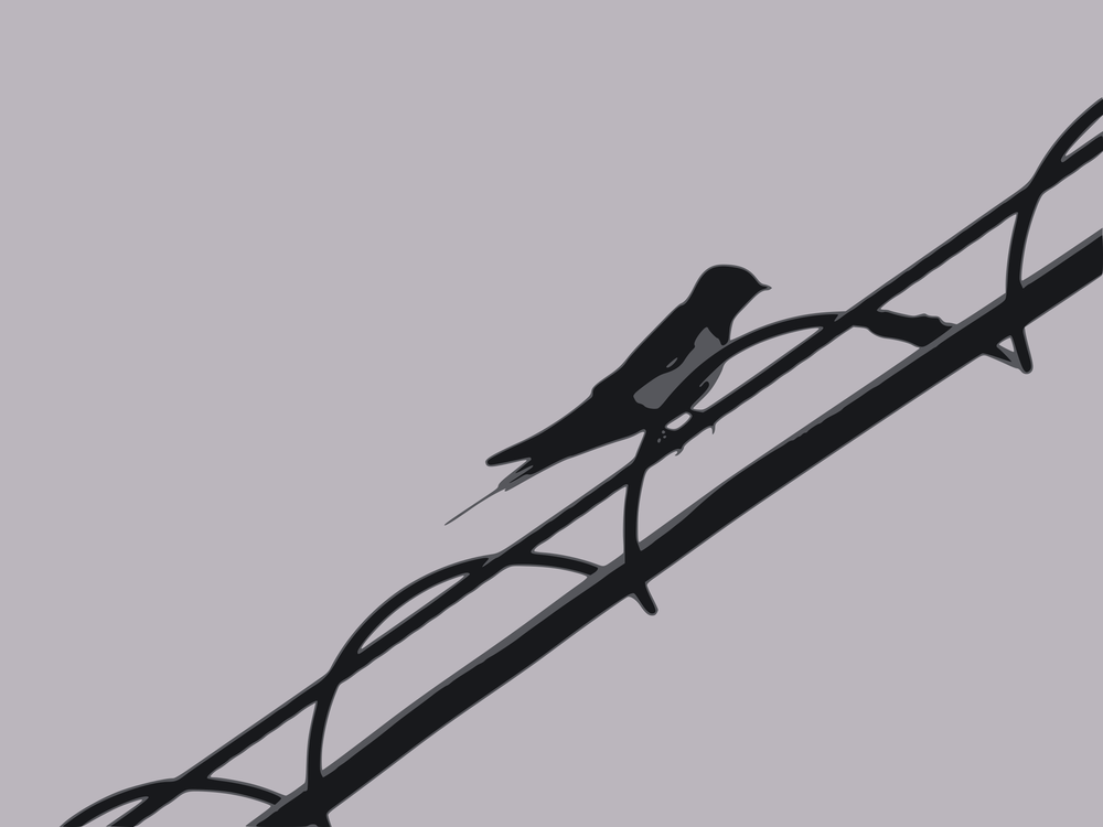 Perching Bird,Wire,Tree