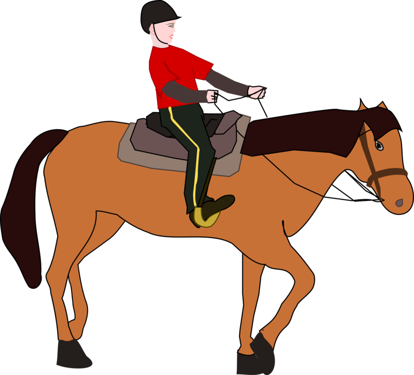 English Riding,Pony,Livestock