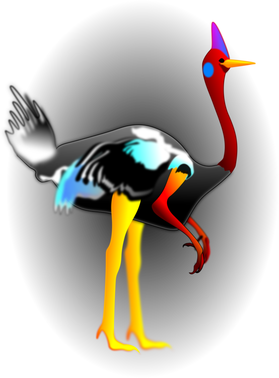Flightless Bird,Water Bird,Beak