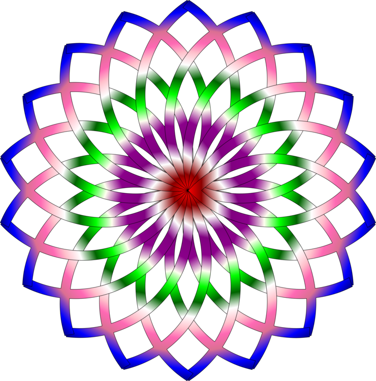 Flower,Symmetry,Purple