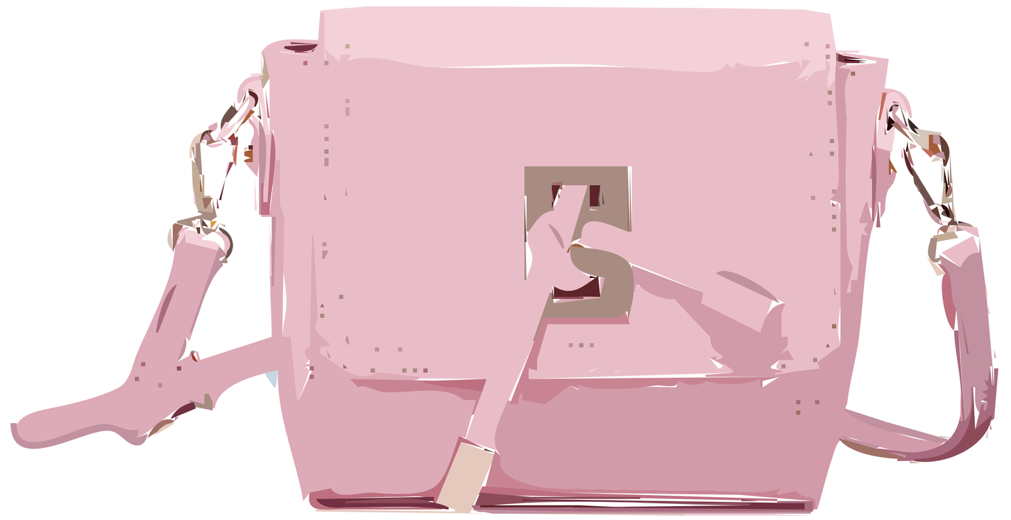 Pink,Brand,Luggage  Bags