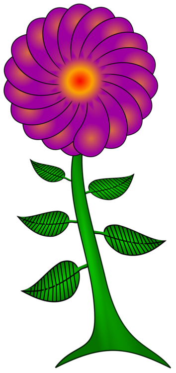 Plant,Flower,Purple