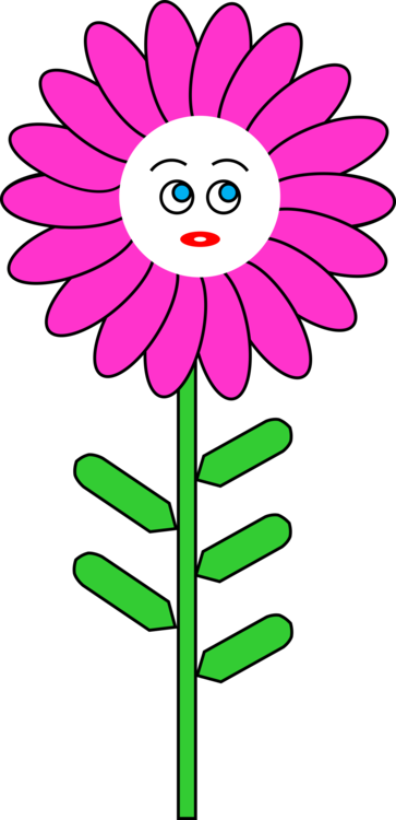 Pink,Plant,Flora