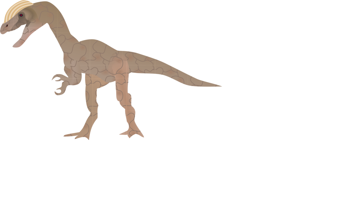 Velociraptor,Tyrannosaurus,Terrestrial Animal