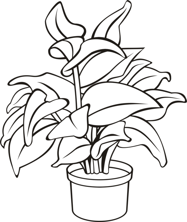 potted plants clipart black and white