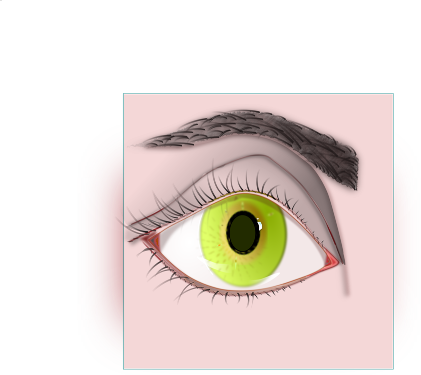 Iris,Close Up,Eye