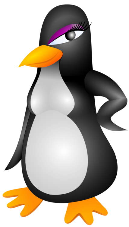 Flightless Bird,King Penguin,Vertebrate
