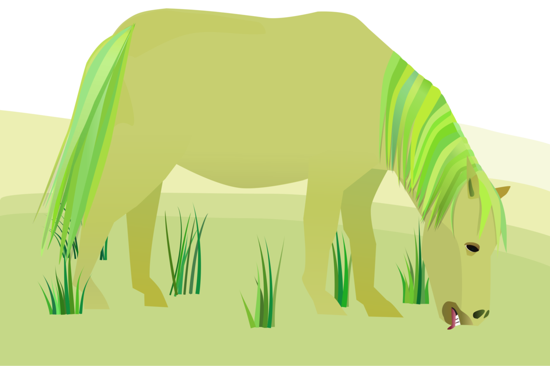 Pony,Livestock,Grass Family