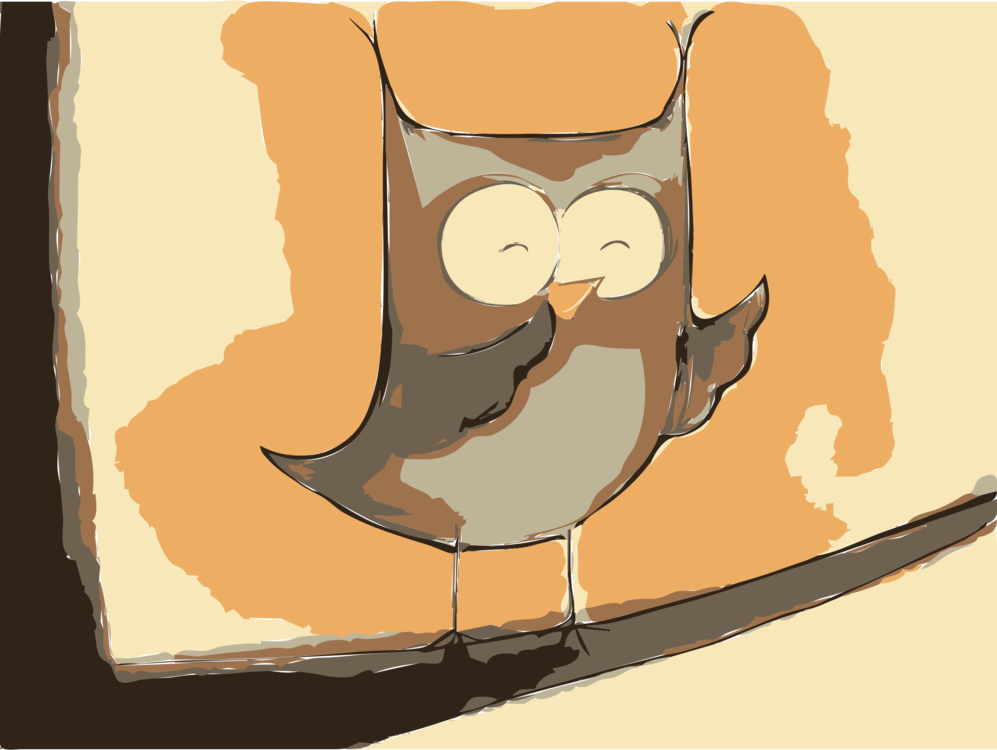 Owl,Vertebrate,Bird