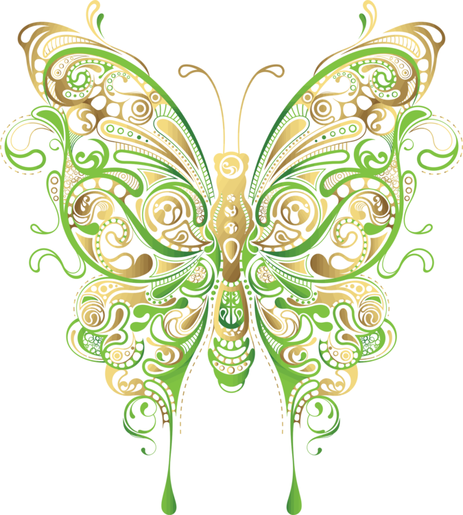 Art,Symmetry,Moth