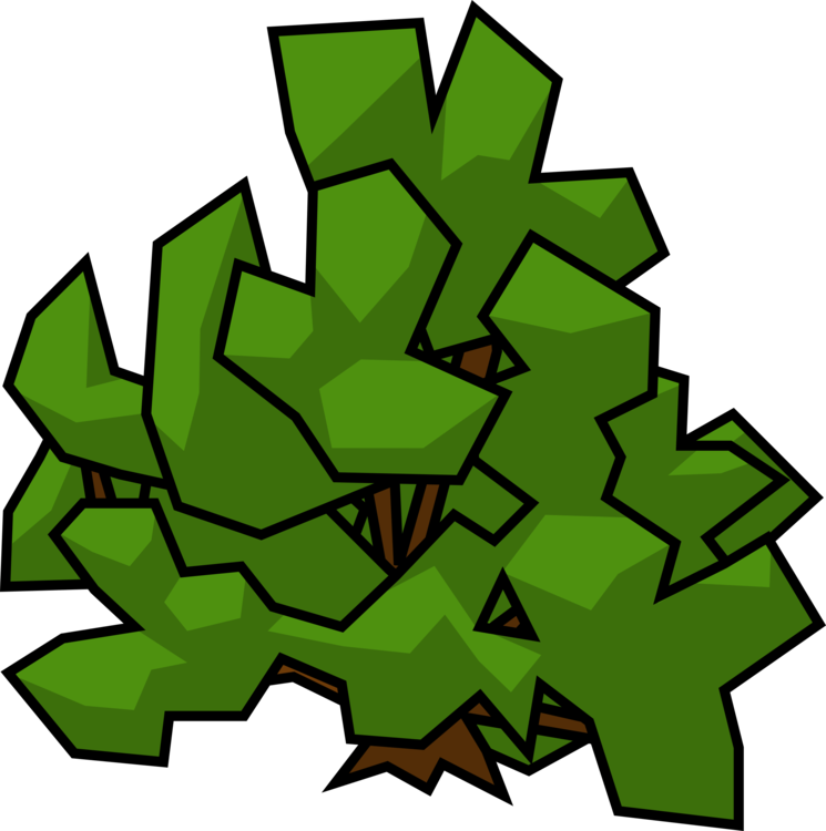 Flora,Leaf,Symmetry