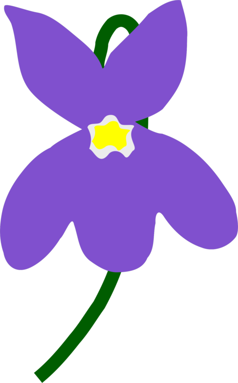 Plant,Flora,Purple