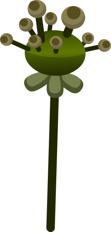 Plant,Flower,Frog