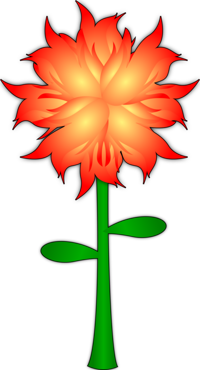 Flowerpot,Plant,Flora