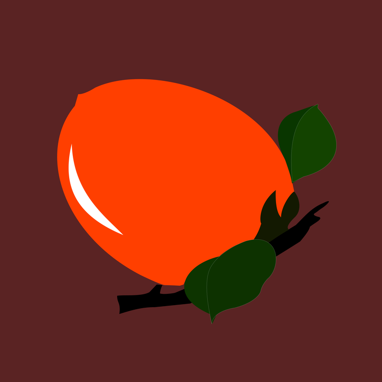 Plant,Leaf,Sphere