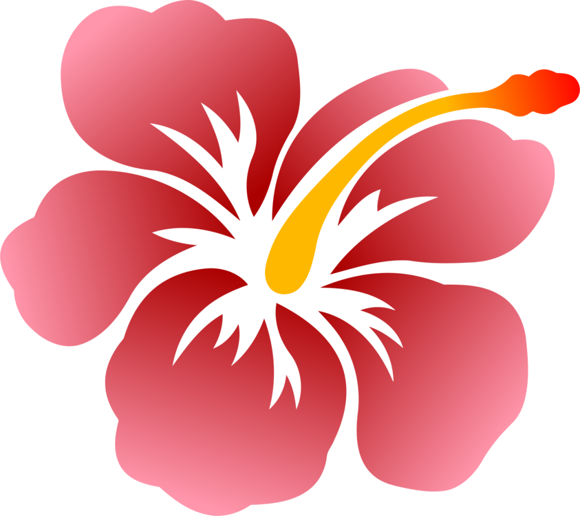 Hibiscus,Plant,Flower
