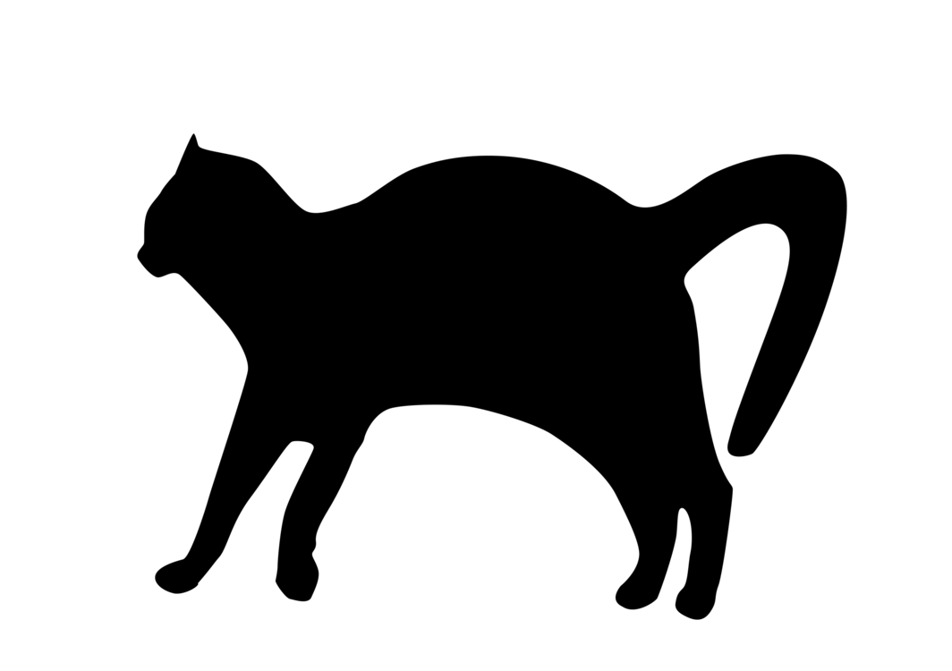 Domestic Short Haired Cat,Snout,Silhouette