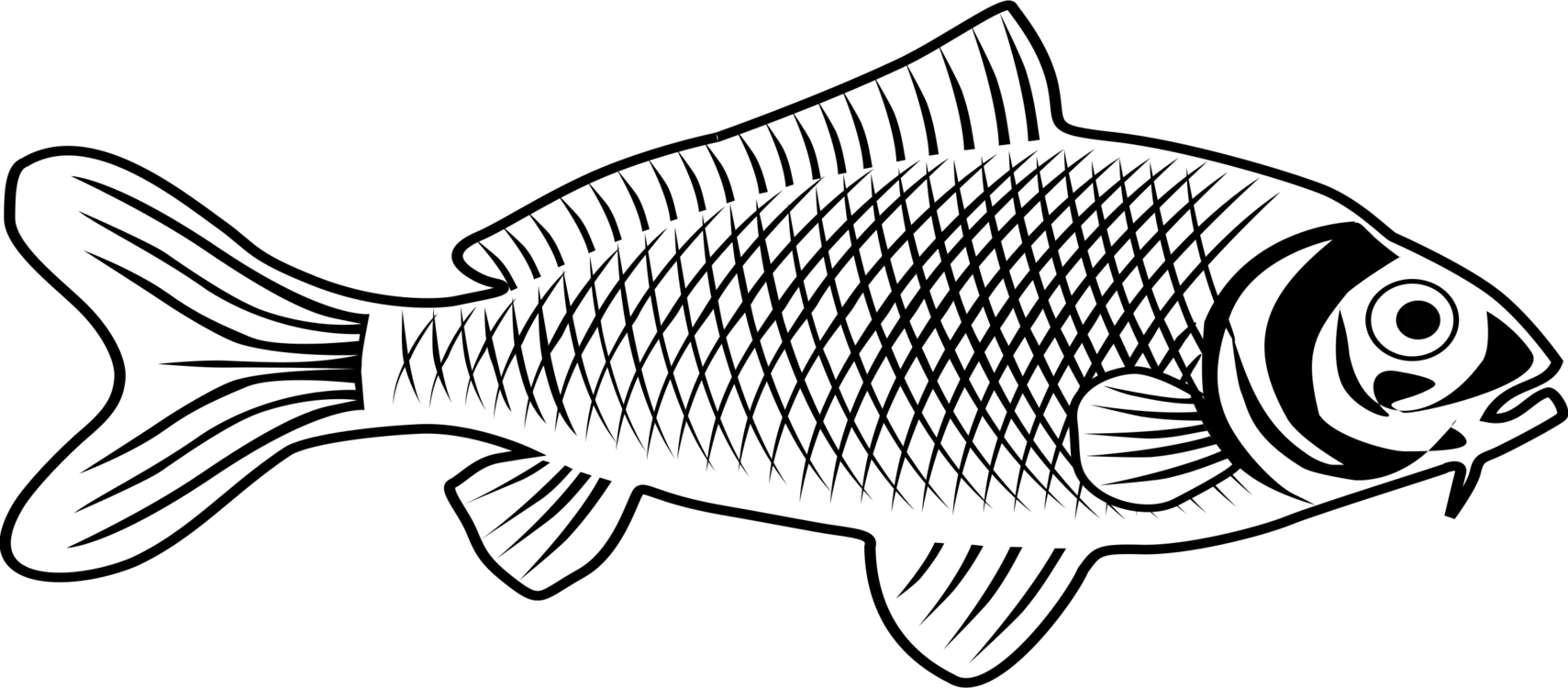 Fish Outline Drawing Vector Illustration Isolated Stock Vector (Royalty  Free) 501287182 | Shutterstock