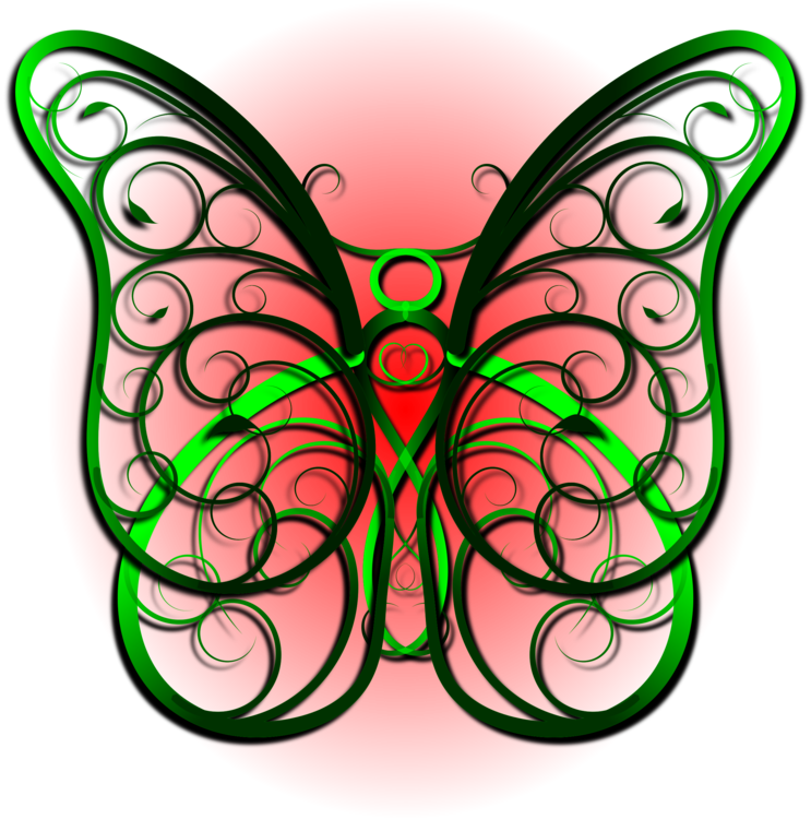 Butterfly,Arthropod,Symmetry