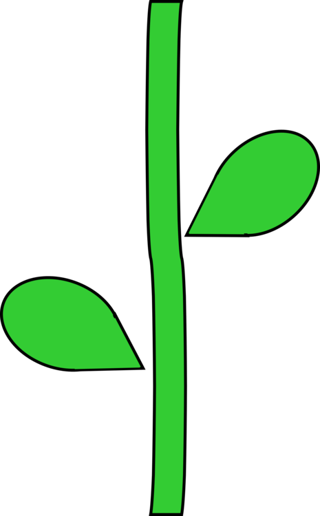 Line Art,Plant,Flora PNG Clipart - Royalty Free SVG / PNG