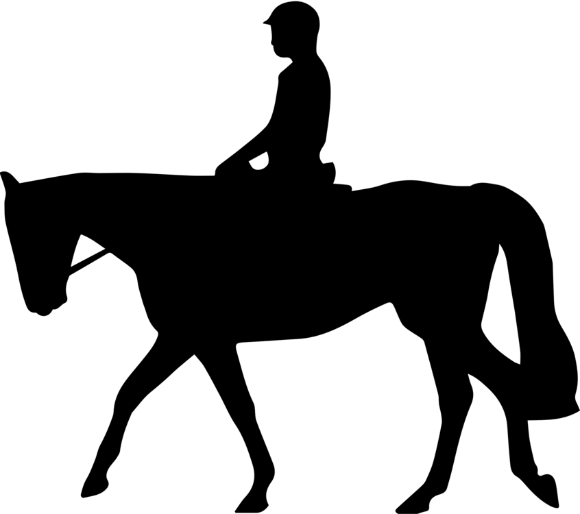 English Riding,Horse Tack,Colt