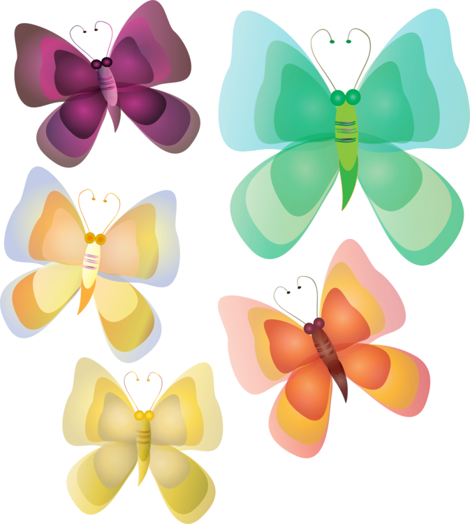 Butterfly,Symmetry,Petal