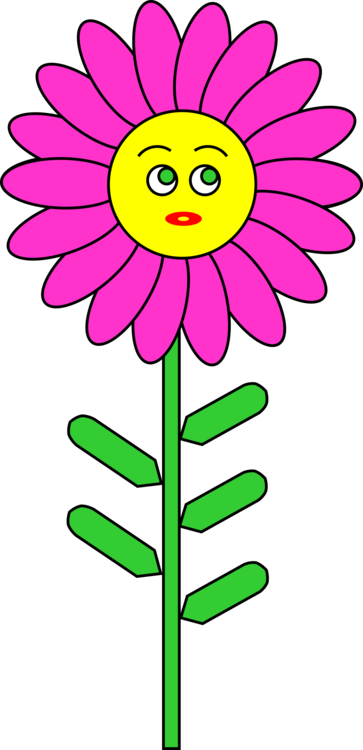 Pink,Plant,Flora