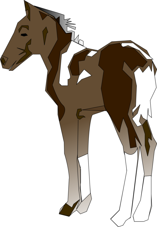 Pony,Livestock,Horse Tack