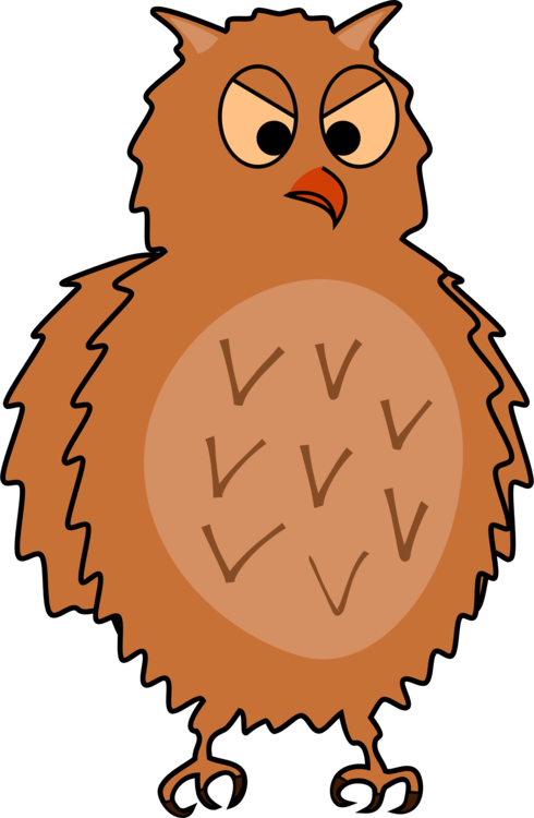 Owl,Beak,Wildlife