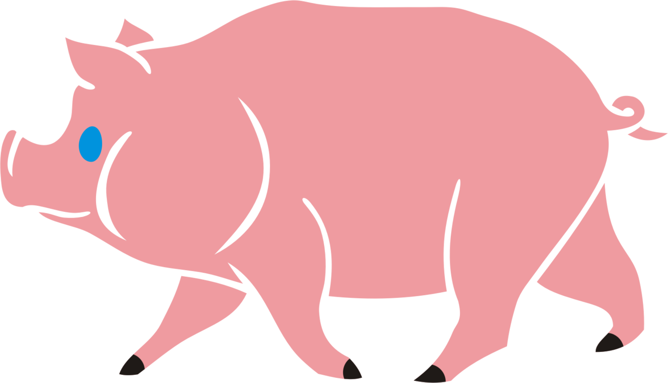 Livestock,Carnivoran,Pig