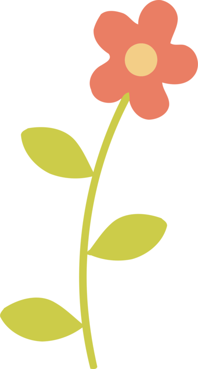 Download Plant,Flora,Leaf PNG Clipart - Royalty Free SVG / PNG
