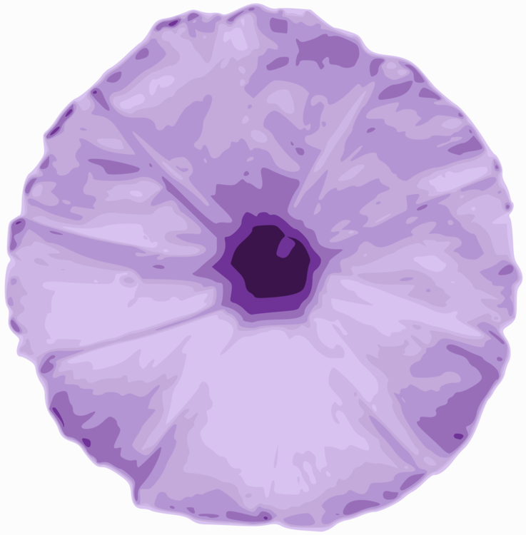 Flower,Lilac,Purple