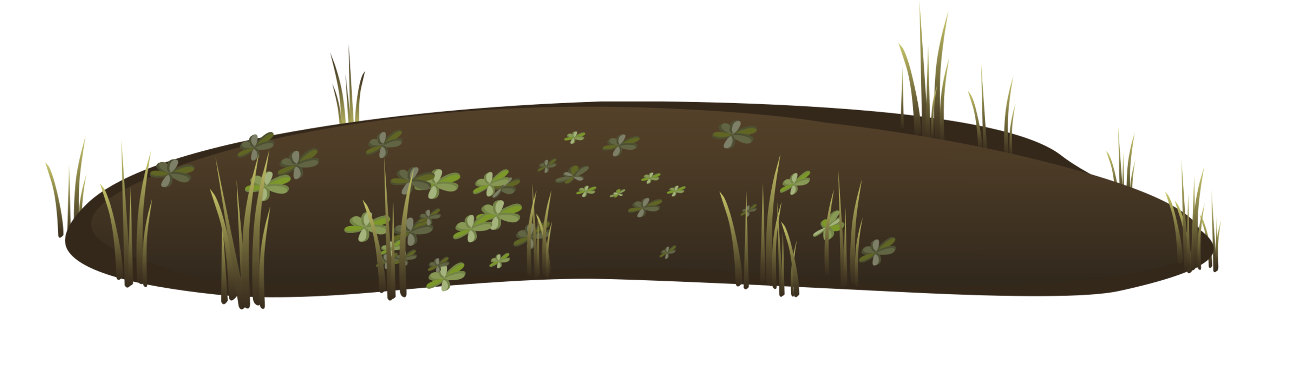 Grass,Leaf,Peat