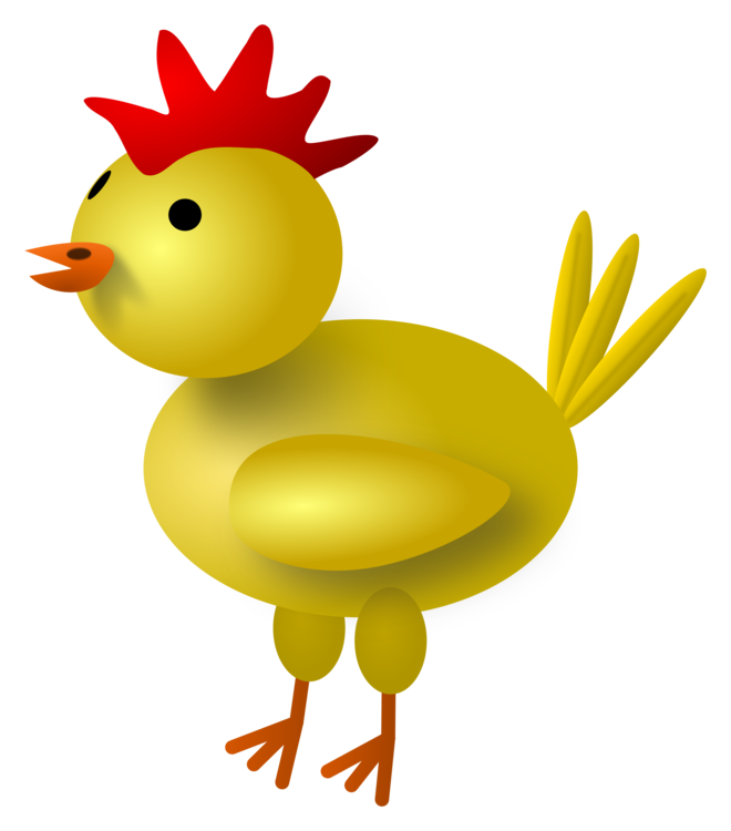Poultry,Water Bird,Livestock